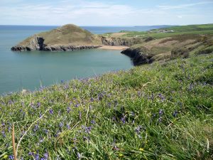 IMG_20160508_120844