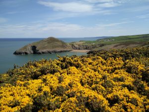IMG_20160508_120945
